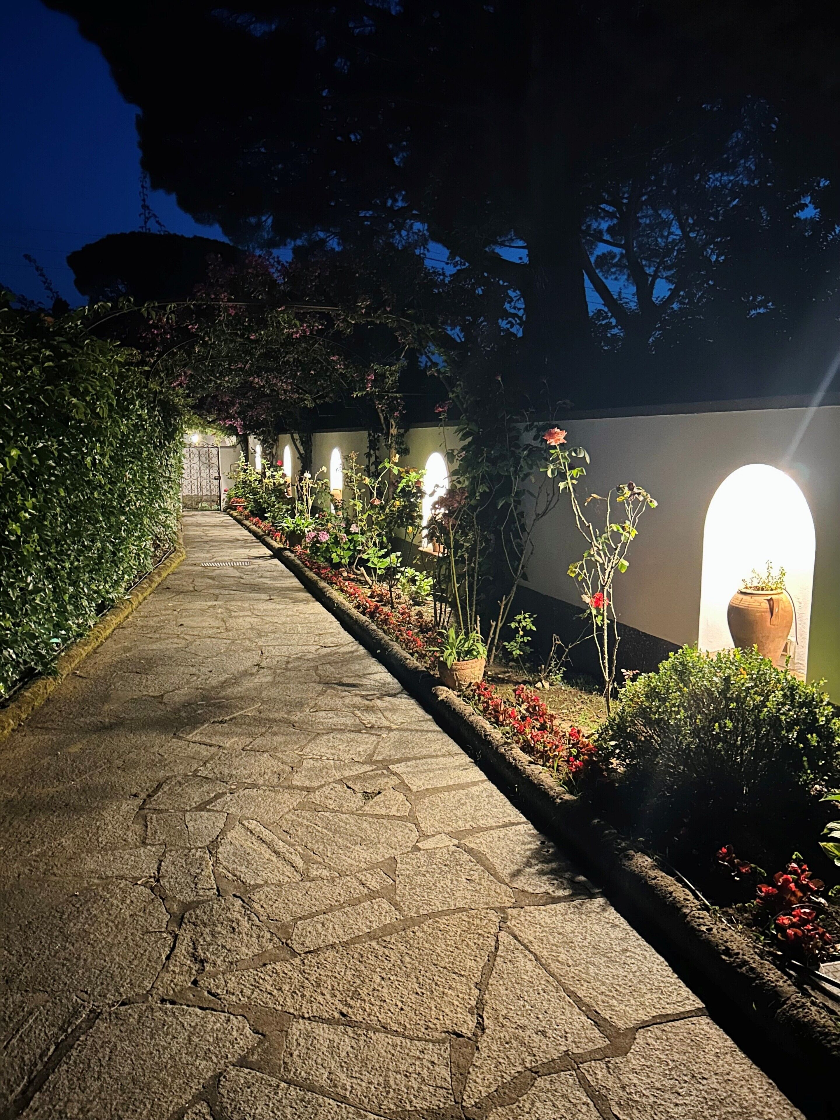 A stone pathway leading to a building with arched windows, surrounded by greenery and potted plants.