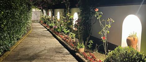 Un sendero de piedra conduce a un edificio con ventanales arqueados, rodeado de follaje y plantas en macetas.