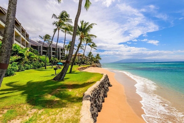 A beachfront hotel with a stone wall, palm trees, and a clear view of the ocean.