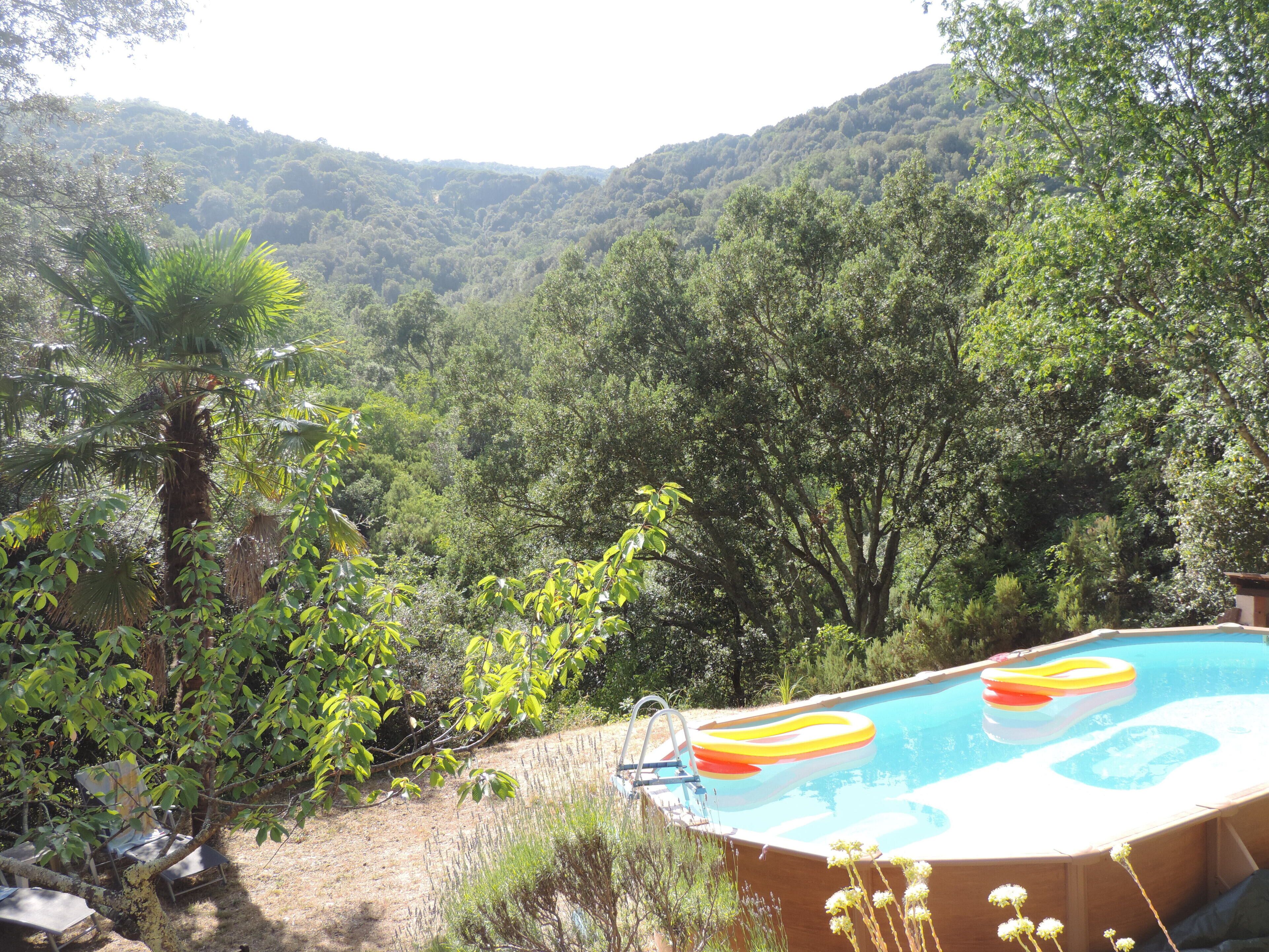 Ein Swimmingpool mit Luftmatratzen, umgeben von üppiger Vegetation und Hügeln.