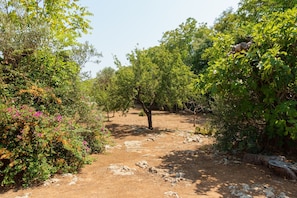 Terrain de l’hébergement 