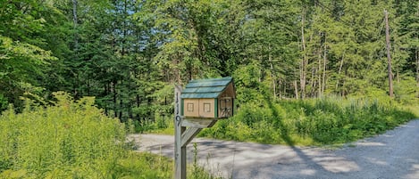 A mailbox on a wooden post by a gravel road in a wooded area.