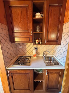 Et lille køkken med træskabe, en gasblus, en vask og et flisebeklædt backsplash.