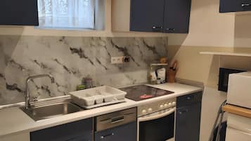 Frigorífico, microondas, horno y placa de cocina