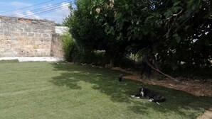 A grassy outdoor area with a stone wall, a tree, and a dog lying on the grass. - Green Palace-Guest House (Vale de Figueira)