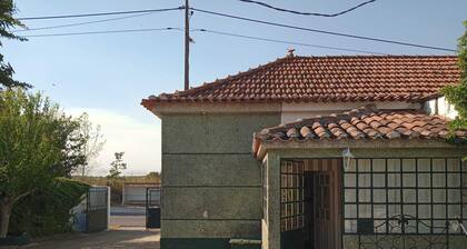 Green Palace-Guest House