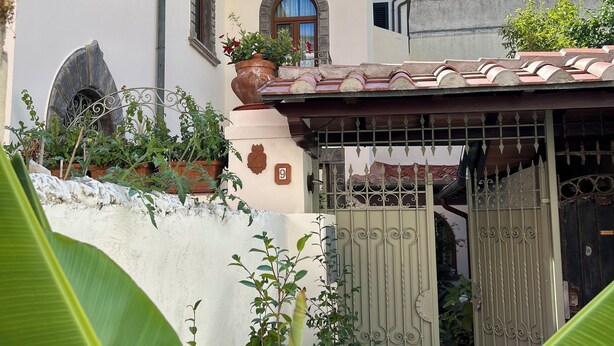 A residential building with a gated entrance, a balcony with a railing, and a large potted plant in the foreground. - La Pépite (viareggio)