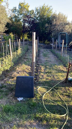 A garden with a hose, wooden posts, and a black object on the ground. - A charming two-room apartment surrounded by greenery on a farm just a short walk from the city (sesto fiorentino)
