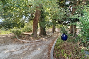 Een grindpad dat door een bebost gebied loopt, met bomen en een blauwe vaas aan de rechterkant.
