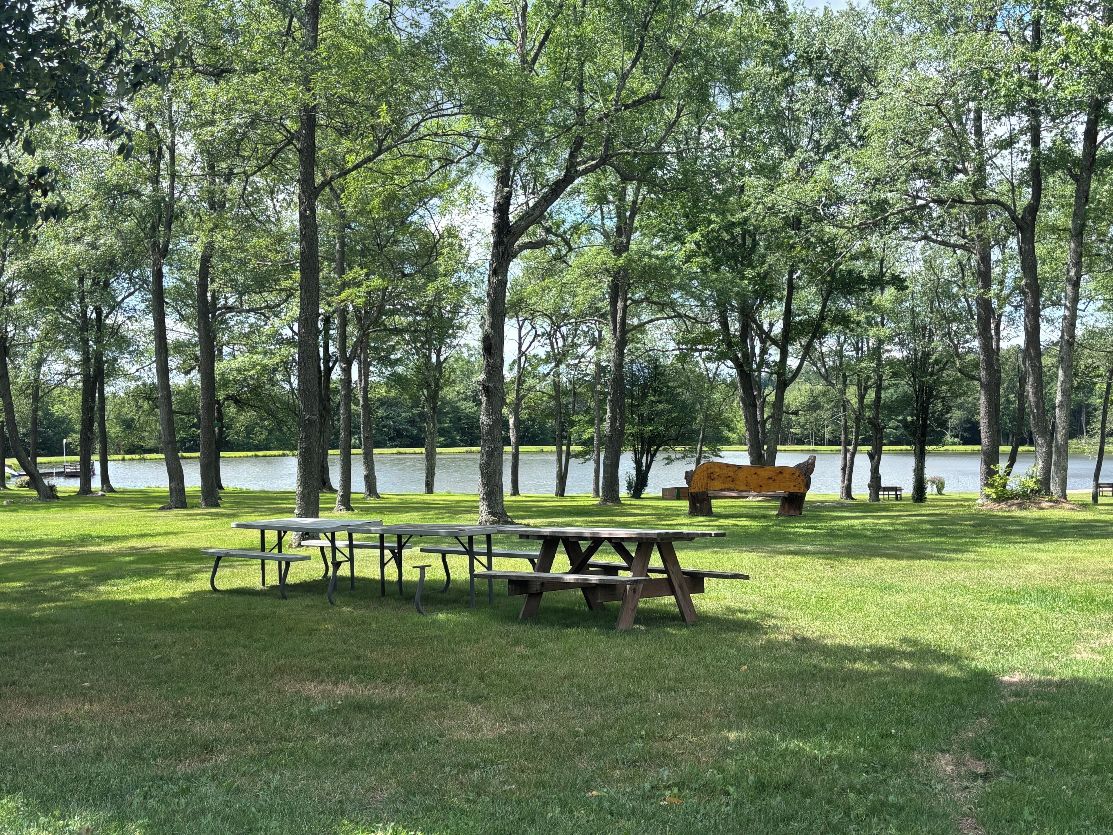 Restauration en plein air