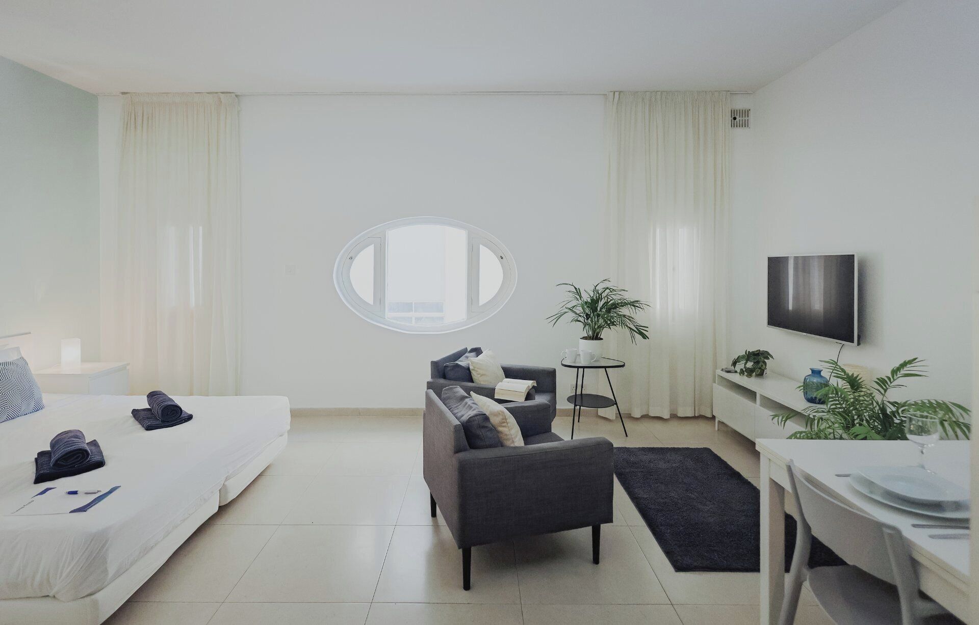 A modern hotel room with a bed, a sofa, a small table, a TV, and a potted plant.