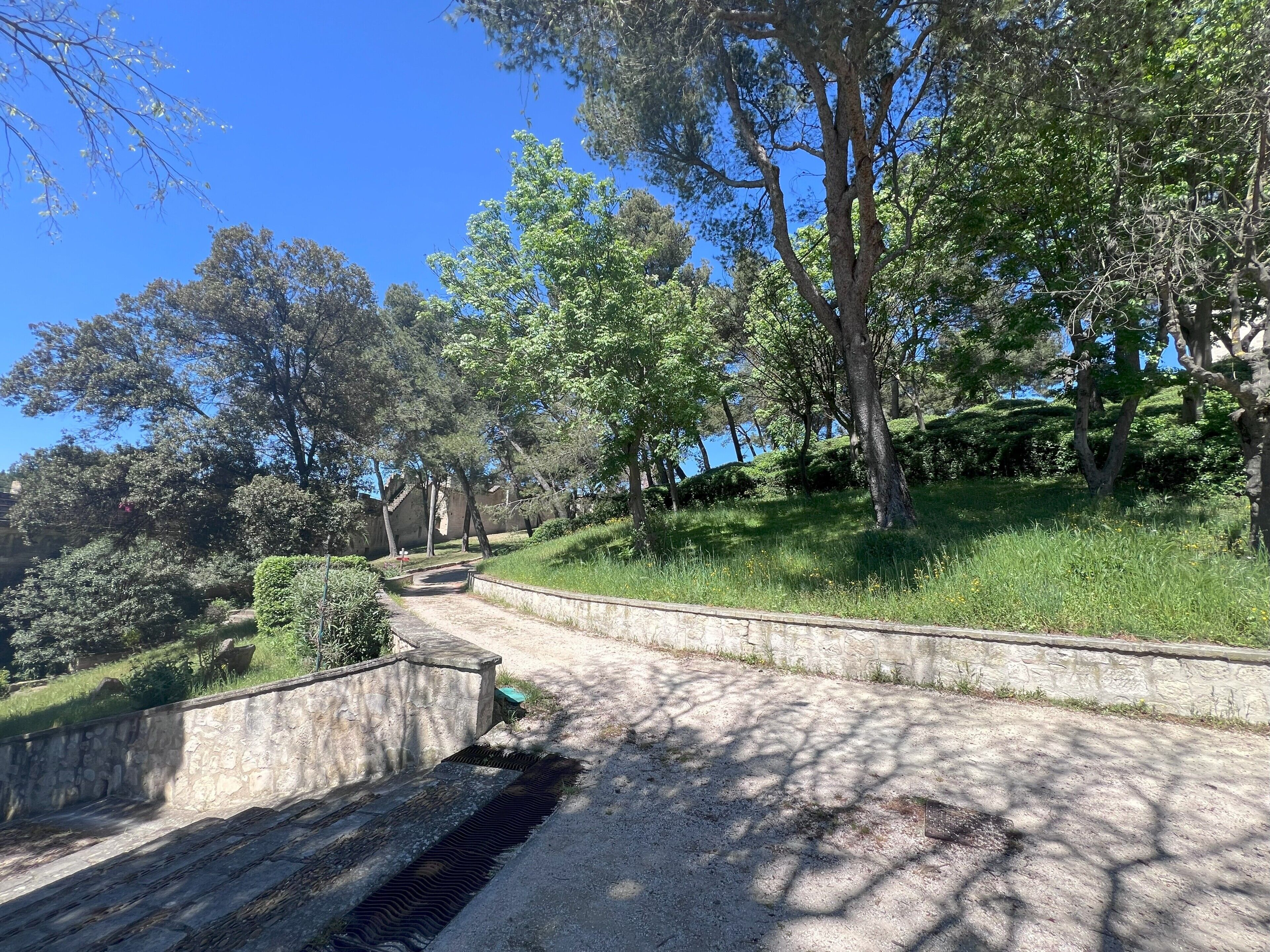 Un sentier qui traverse un espace aménagé avec des arbres et un mur de pierre.