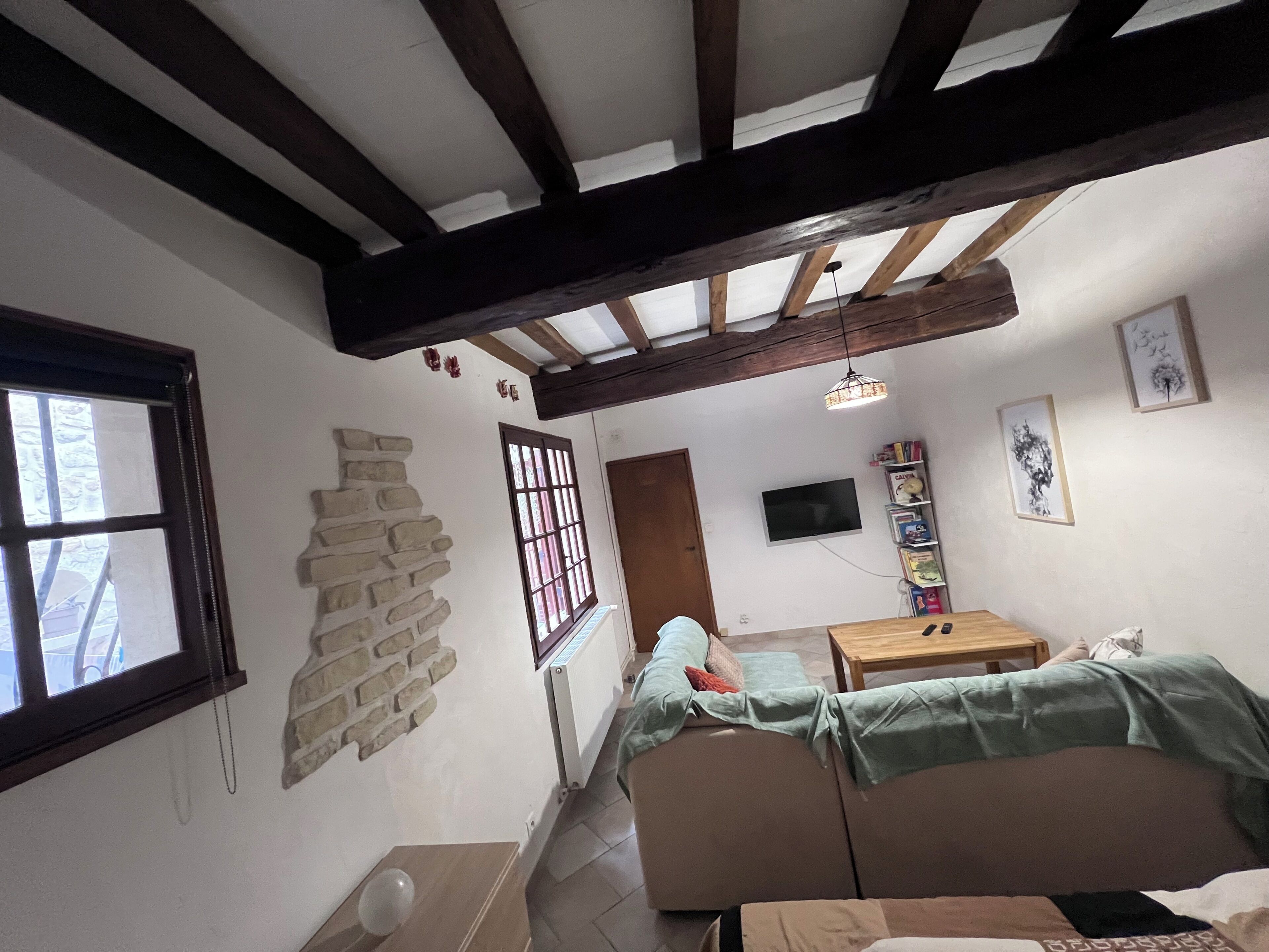 A room with a stone wall, a window, a television, a bookshelf, and a couch.