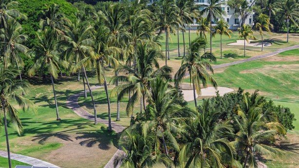 A golf course with palm trees and a modern building in the background. - Luxury Corner Condo at Nima Bay | Marina Vallarta (Puerto Vallarta)