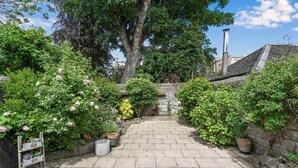 A paved courtyard with a stone wall, potted plants, and a large tree.