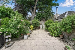 A paved courtyard with a stone wall, potted plants, and a large tree.
