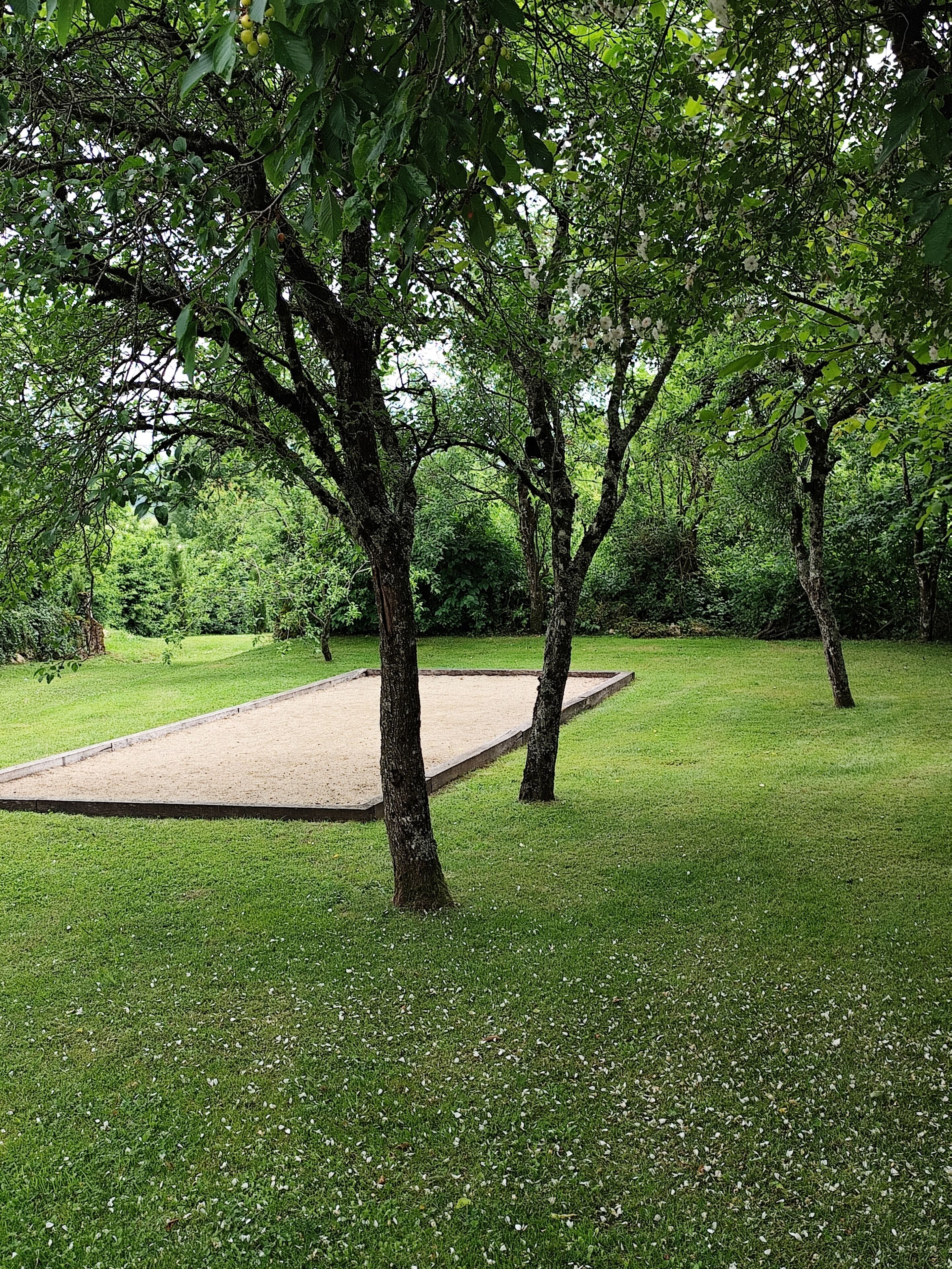 Une zone herbeuse avec des arbres et une structure rectangulaire en béton.