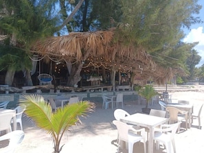 An outdoor seating area with tables and chairs, a thatched-roof structure, and string lights.