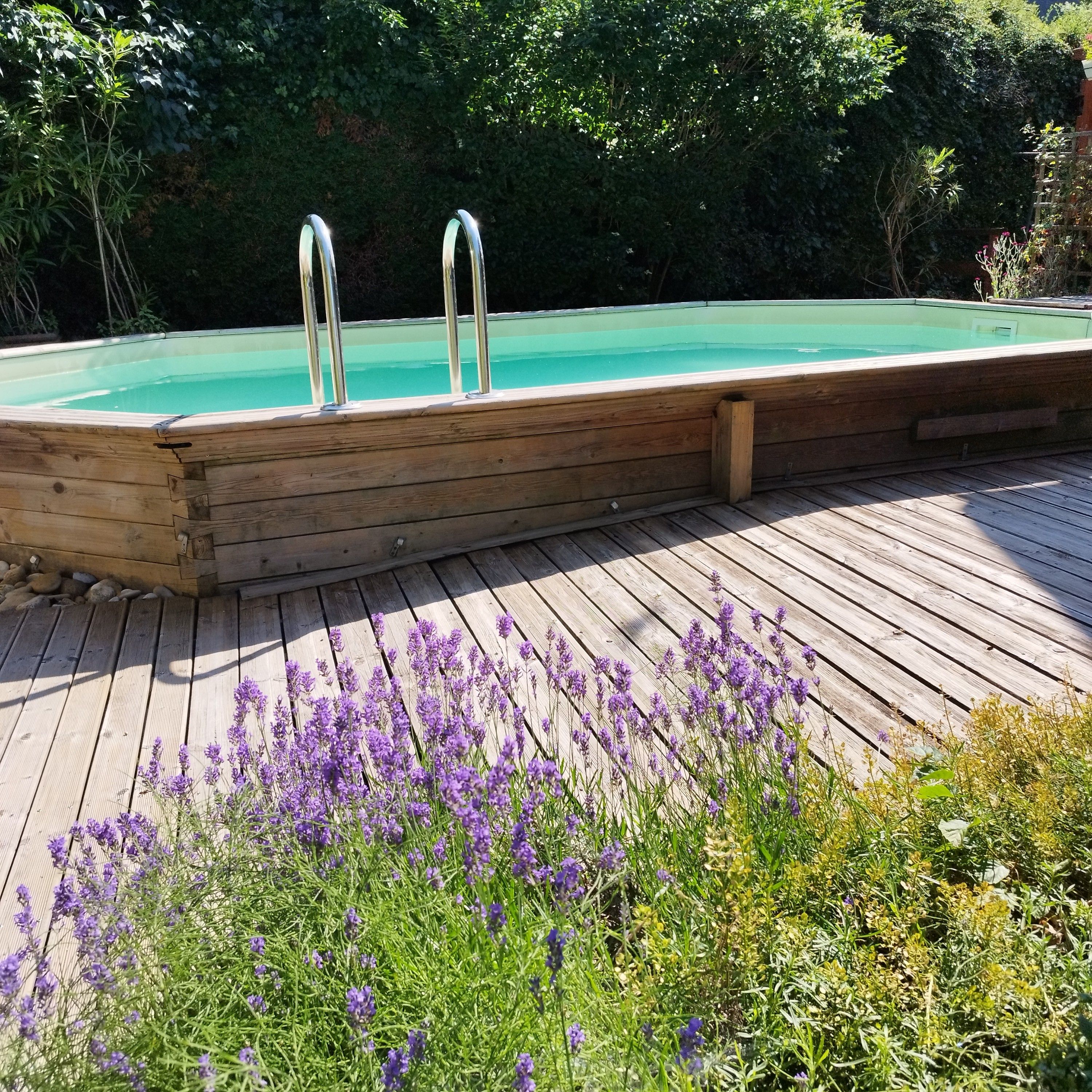 Une terrasse en bois avec une piscine, des échelles en métal et des fleurs violettes.