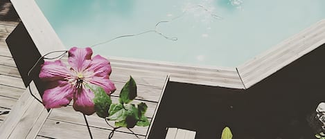 Zwembad met houten terras en een roze bloem.