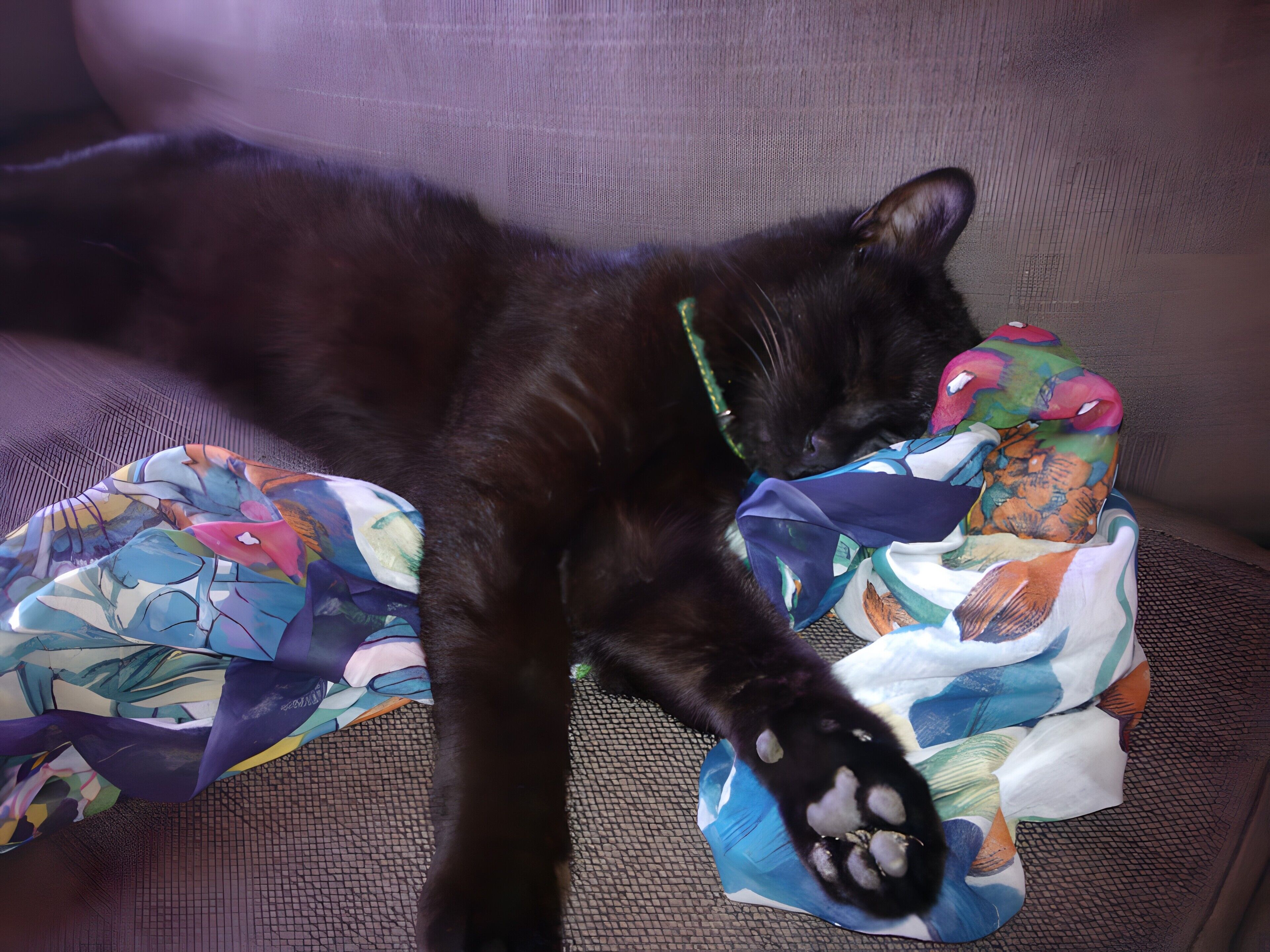 A black cat lying on a patterned fabric, possibly a blanket or a piece of clothing, on a textured surface.