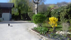 Un carrer residencial amb un camí de grava que condueix a una casa, envoltat de diverses plantes i arbustos.