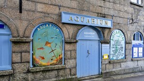 Um edifício com uma placa indicando 'AQUARIUM' e uma porta com fechadura.