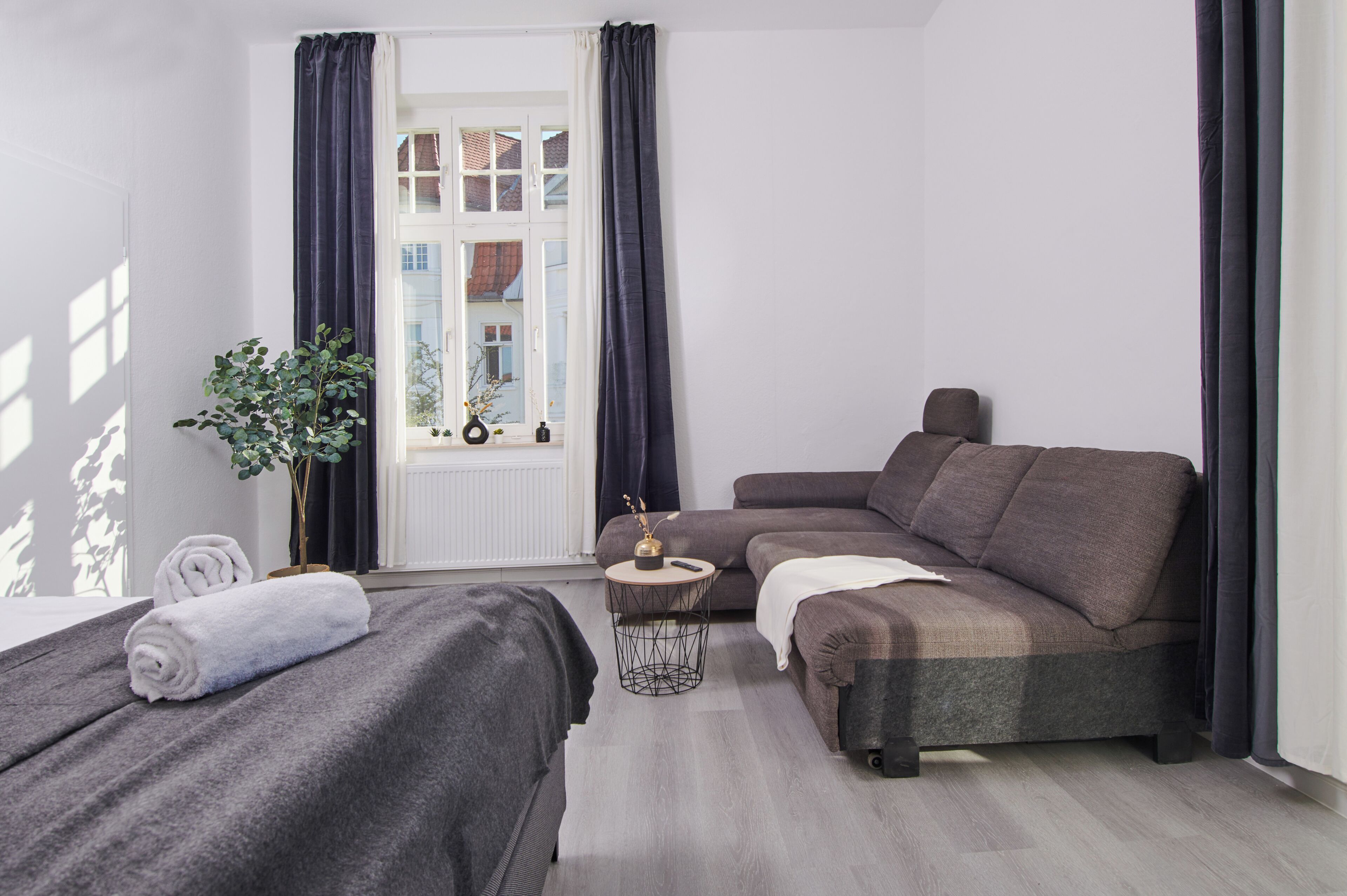 A modern bedroom with a sofa bed, a small round table, and a potted plant.