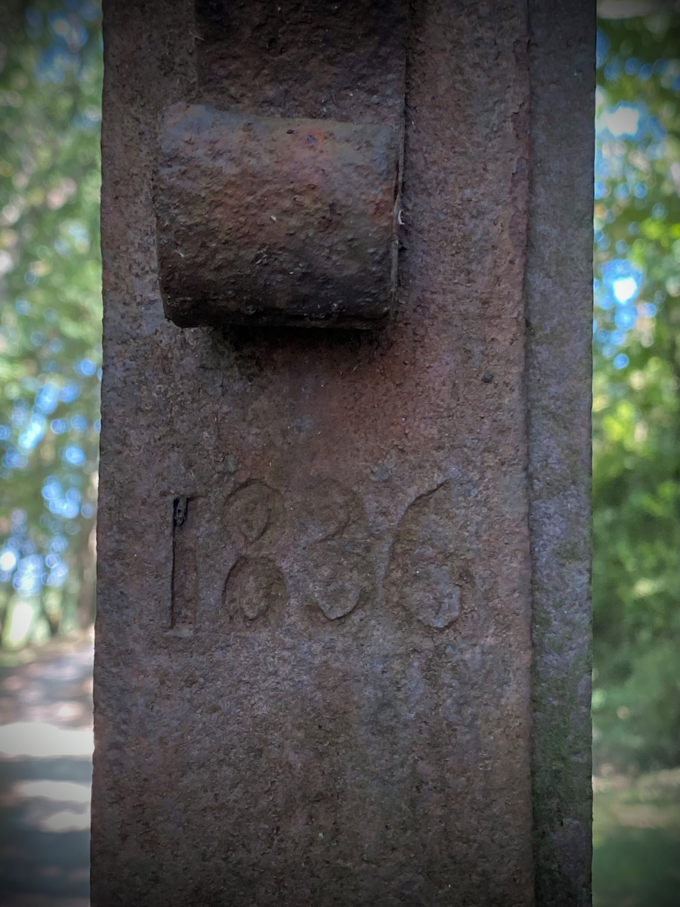Un gros plan sur le tronc d’un arbre, sur lequel on peut voir l’année « 1836 » gravée.
