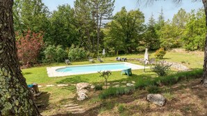 Ein Schwimmbecken, umgeben von einer Rasenfläche mit Bäumen, einer Steinmauer und Sitzgelegenheiten im Freien.