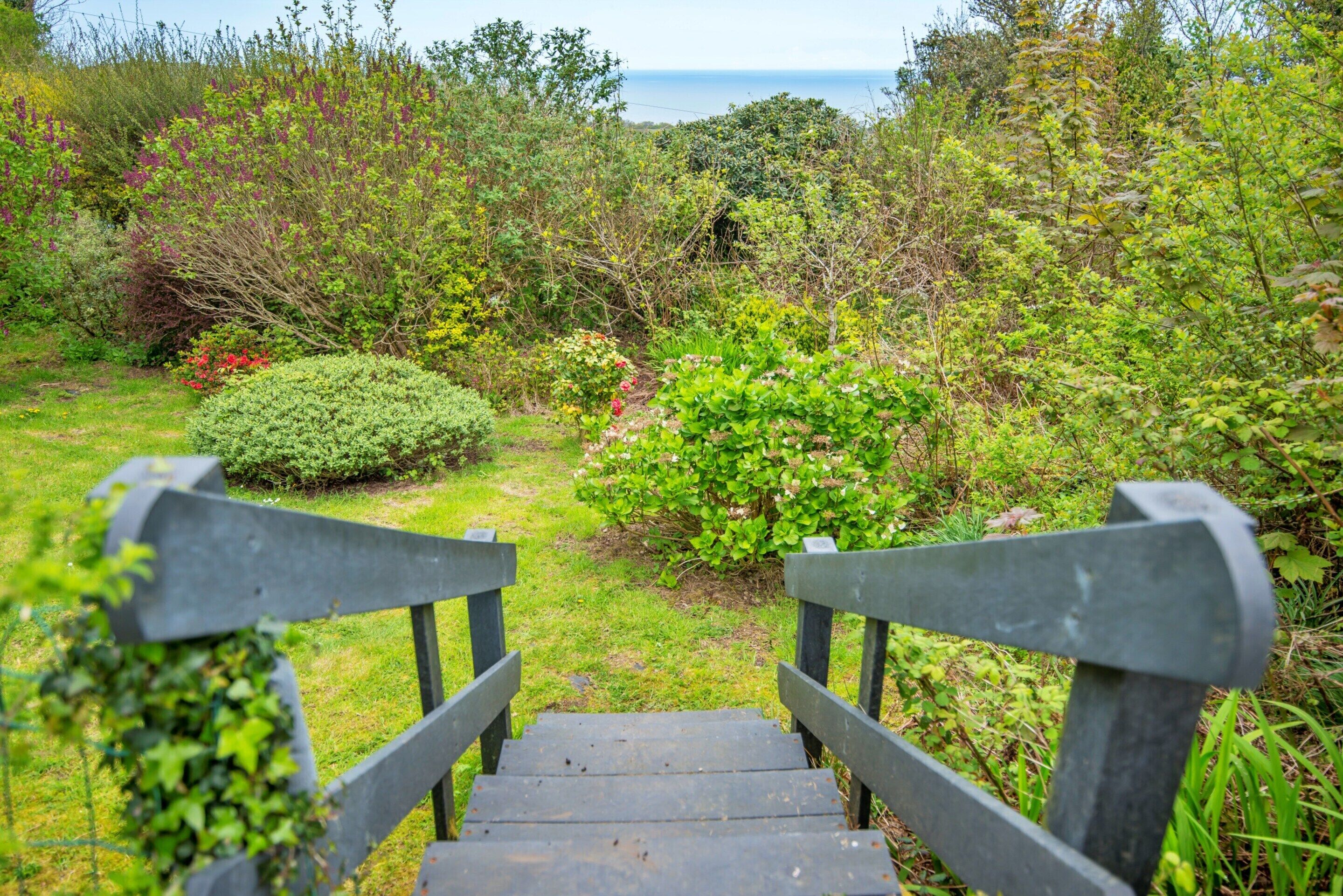 Cottage | Garden