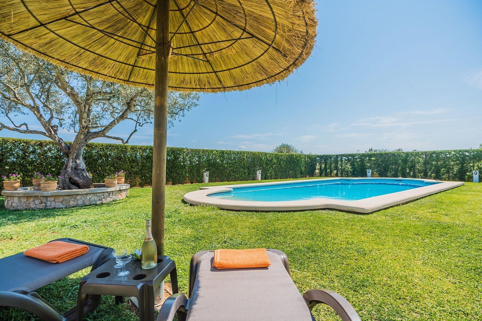 A backyard with a swimming pool, lounge chairs, and a large umbrella.