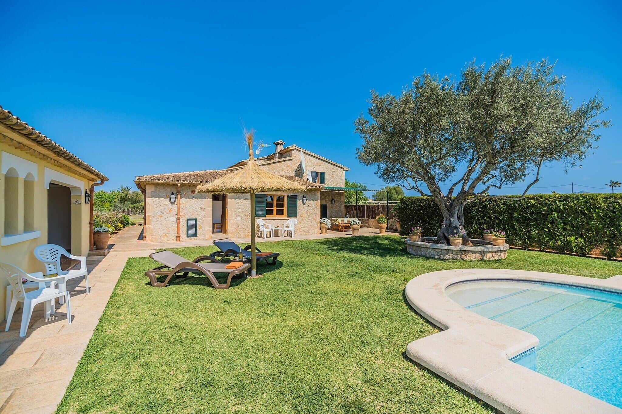 A stone house with a thatched roof, a swimming pool, and a well-maintained lawn.