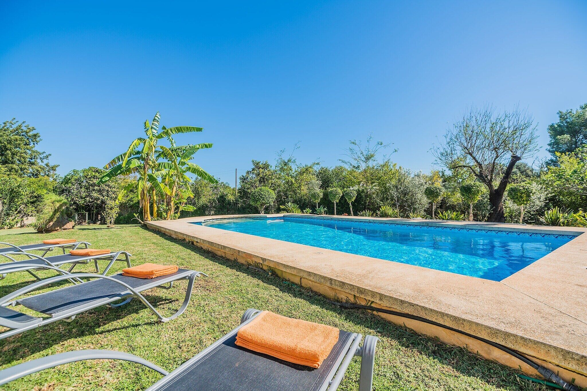 A rectangular swimming pool with a clear blue water surface, surrounded by a concrete edge. There are lounge chairs with orange cushions aligned along the poolside.