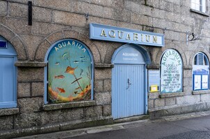 An aquarium with a sign above the entrance, a door, and a window with a view of the interior.