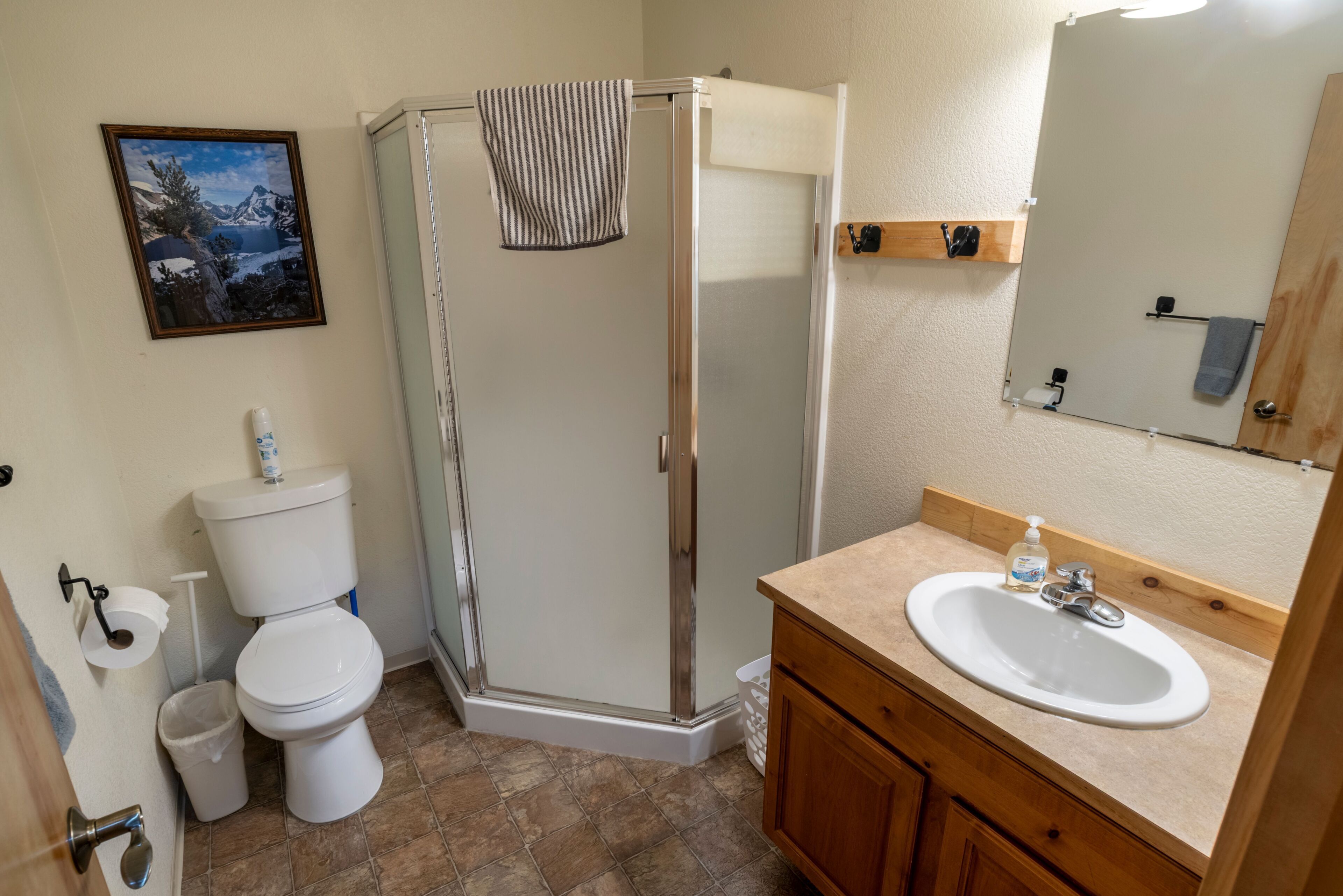 Hair dryer, towels, soap, shampoo
