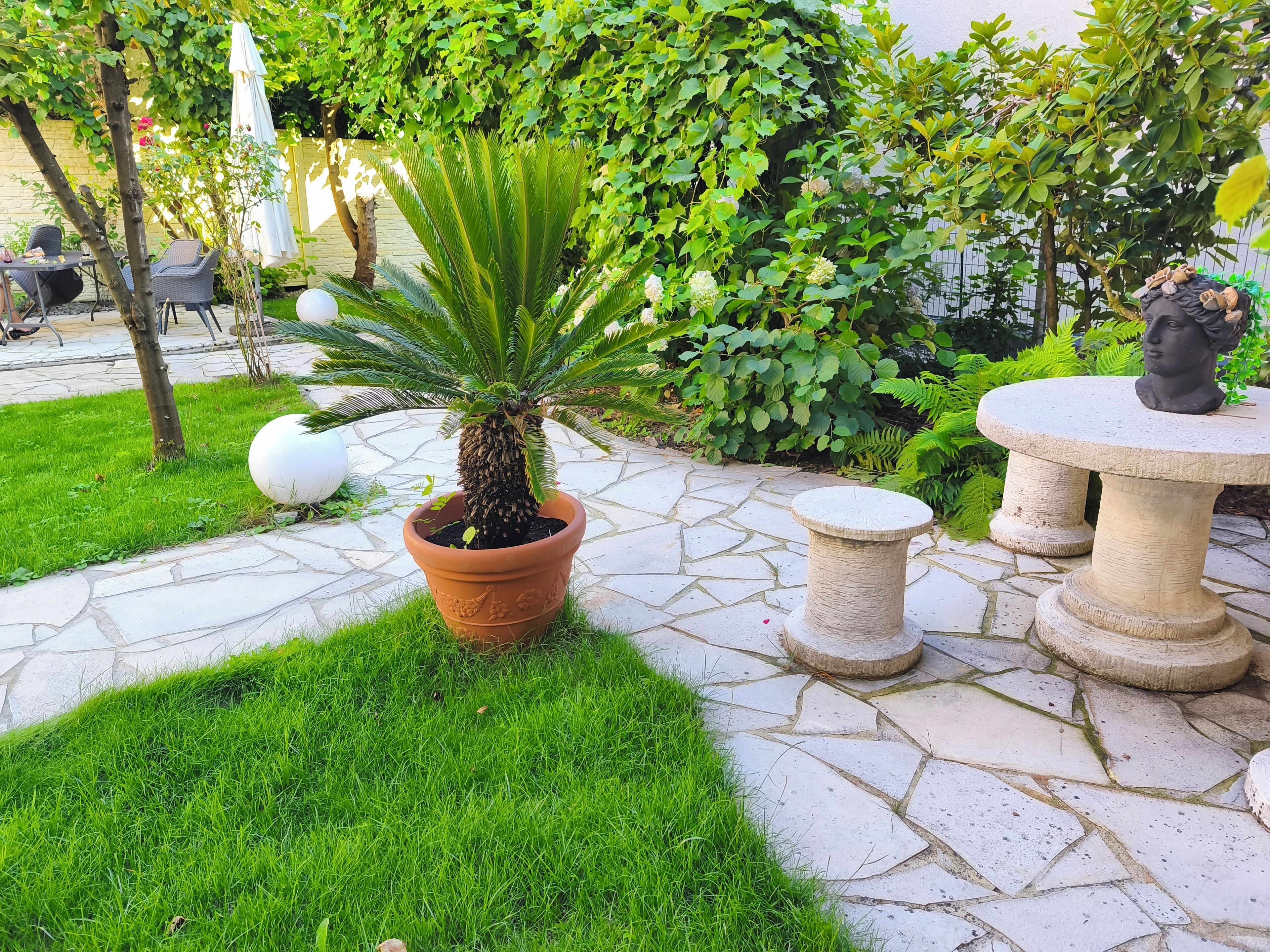 A garden area with a potted plant, a stone table with a sculpture, and a grassy lawn.