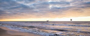 Una playa con olas y una puesta de sol al fondo.