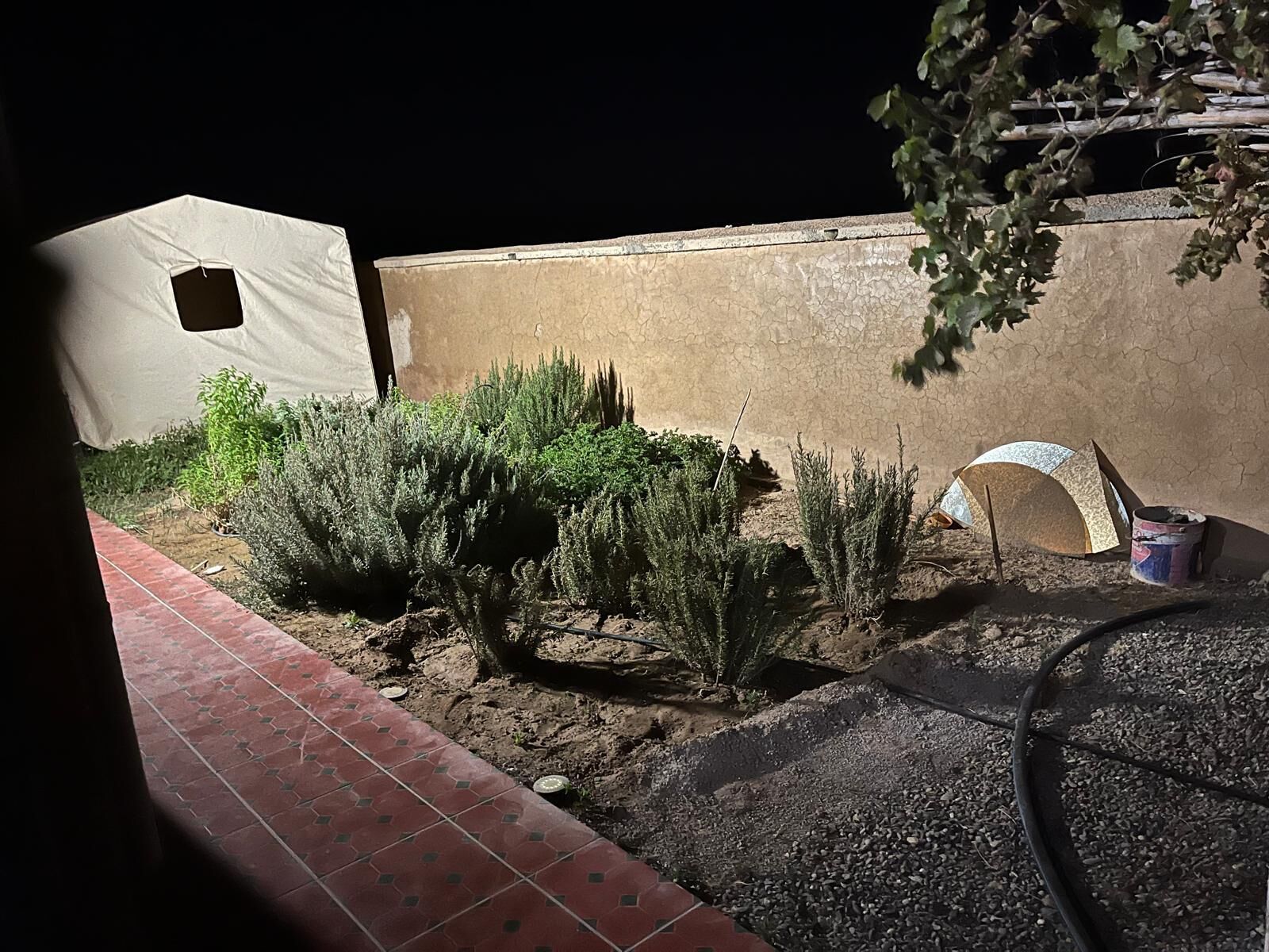 A garden area with a tent, a small structure, and a hose.
