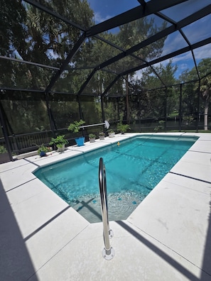 A swimming pool with a metal ladder, surrounded by a covered area with trees and plants.