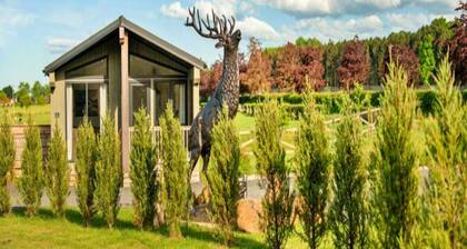 Luxury Lodge With Swim Spa for 8