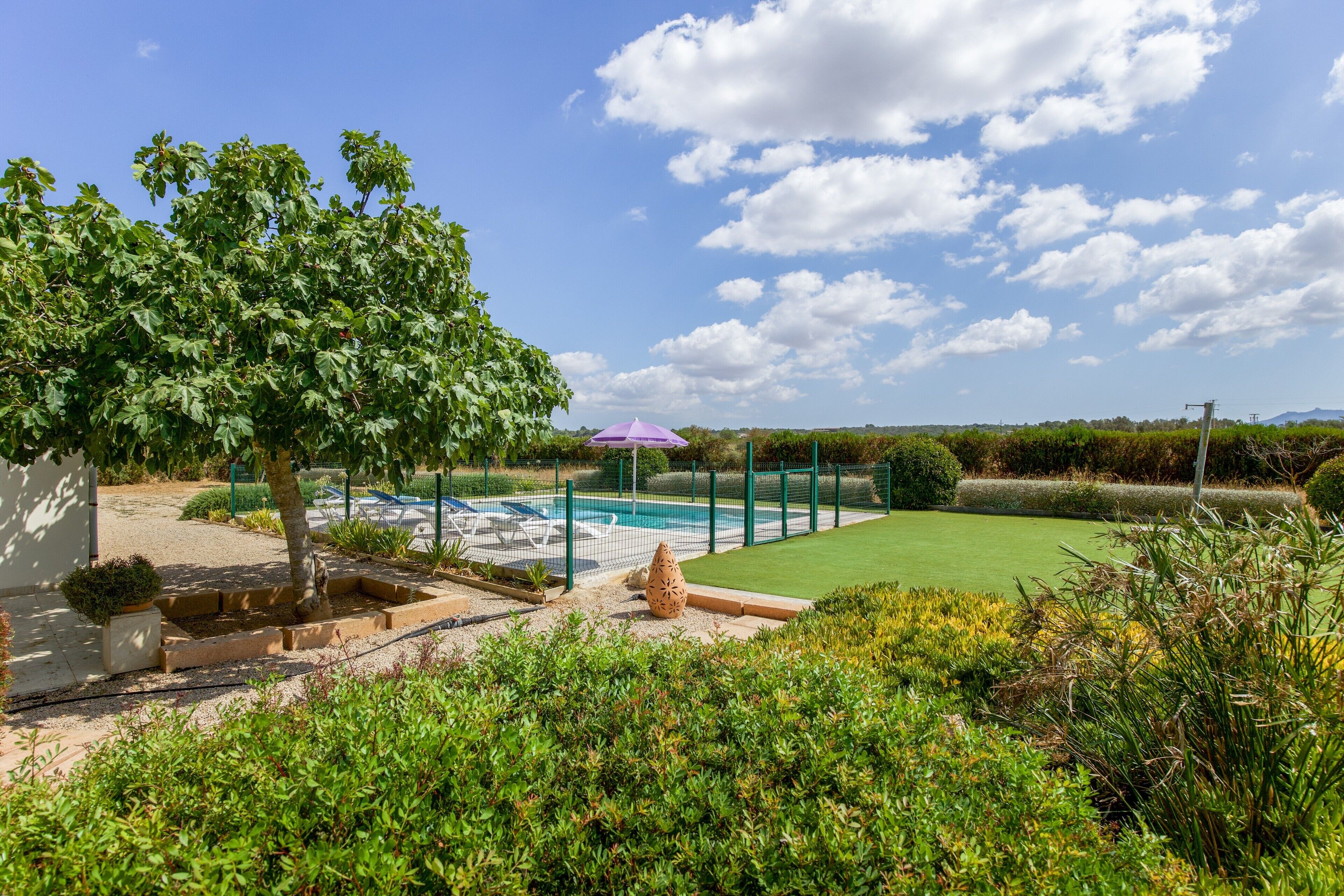 Zona de piscina con un deck cercado, césped y un árbol.