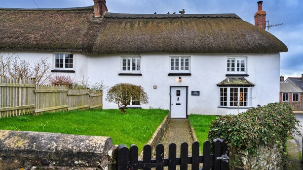 A traditional white cottage with a thatched roof, a wooden gate, and a small garden. - Nice Cottage in High Bickington (Umberleigh)