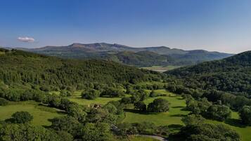 A mountainous landscape with dense forests and a winding road.