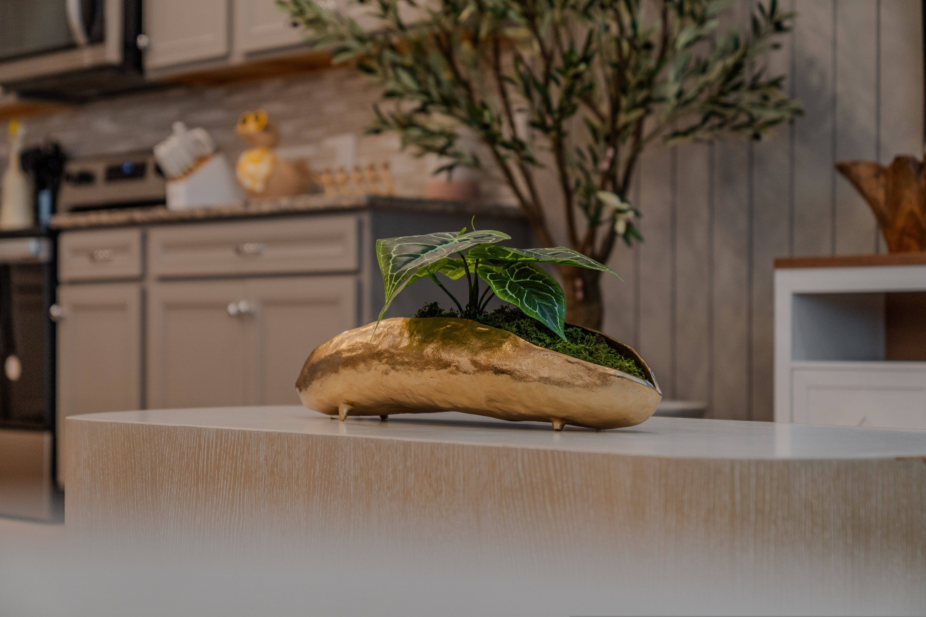 A kitchen with a unique plant centerpiece on a countertop.
