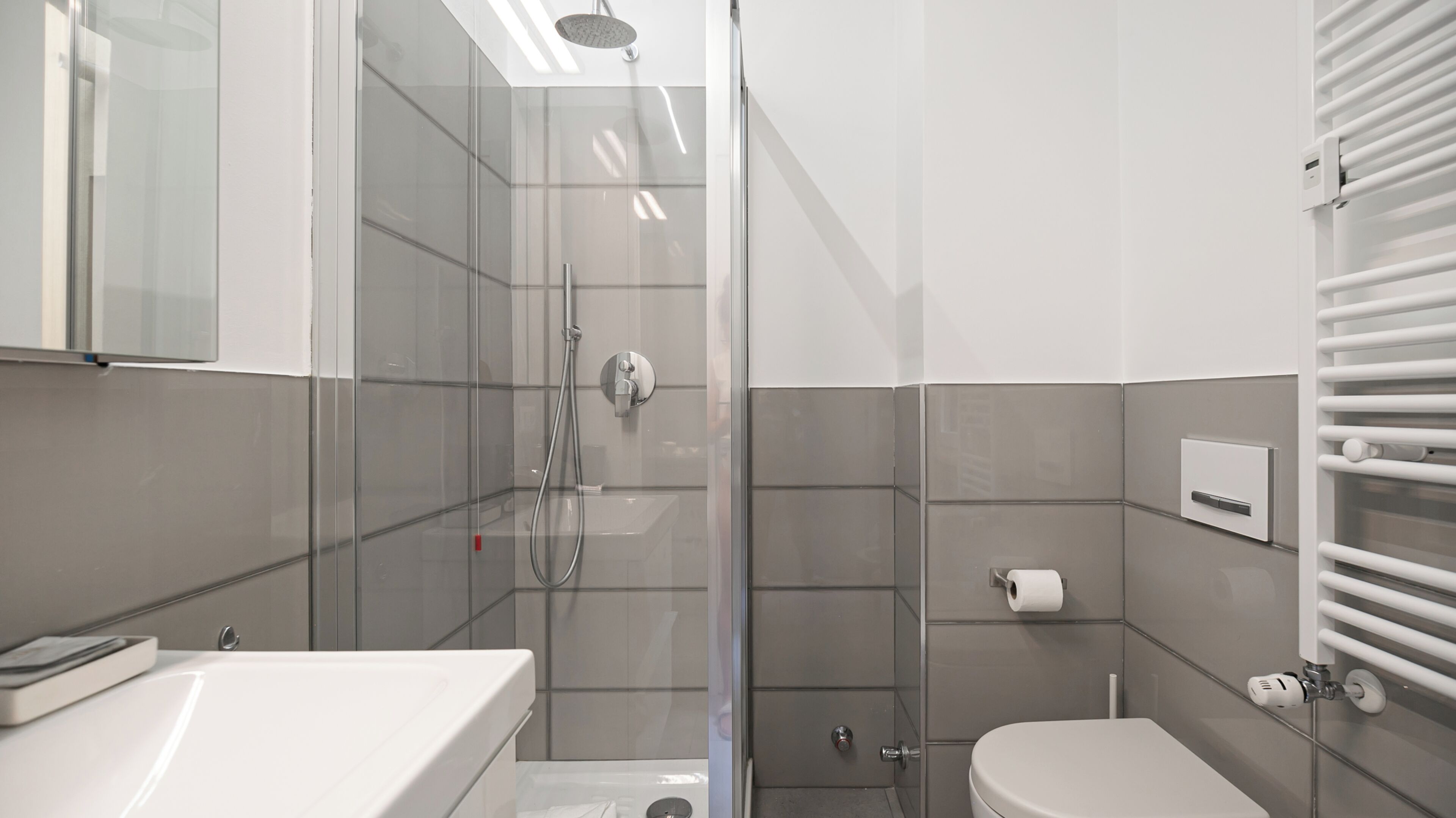 Apartment (2 Bedrooms) | Badezimmer