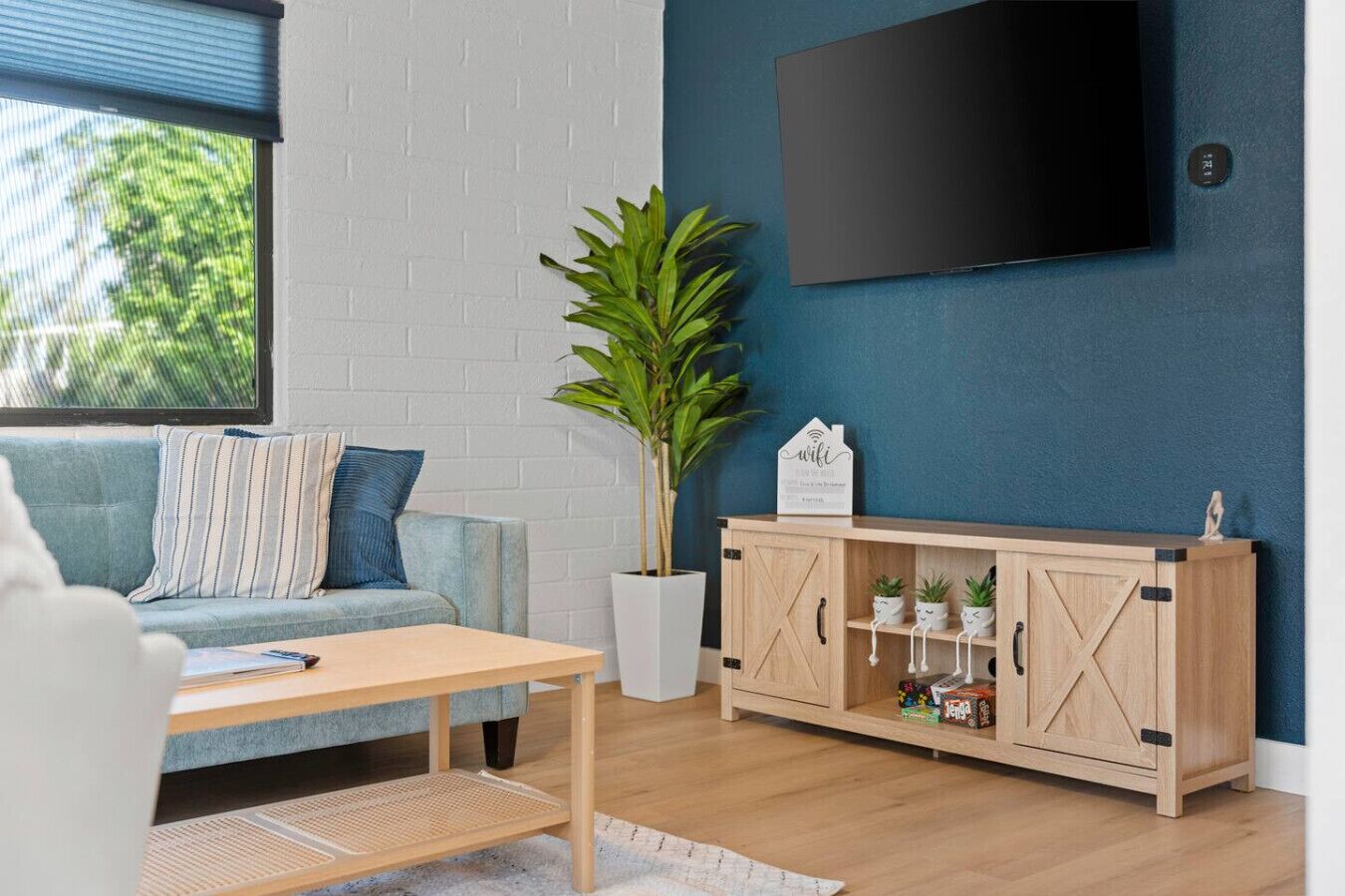 TV