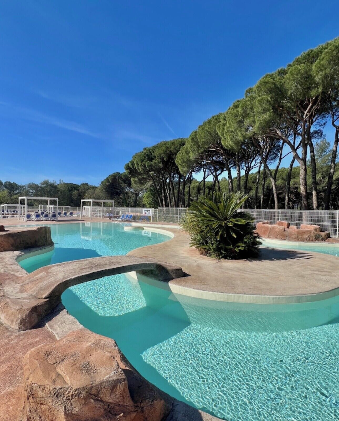 A swimming pool with clear water, surrounded by trees and a white fence.