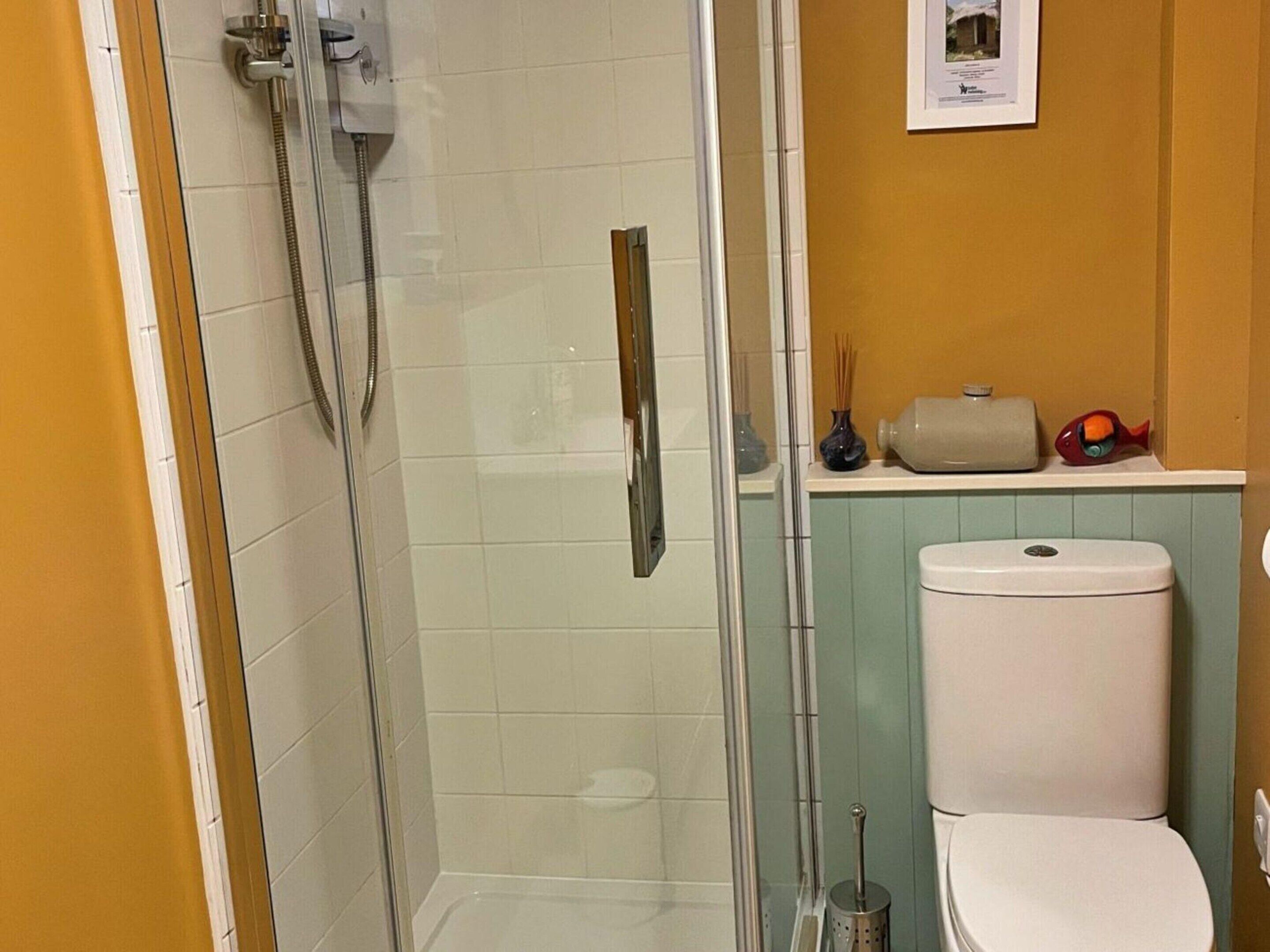 A bathroom with a glass-enclosed shower, a toilet, and a shelf with toiletries.