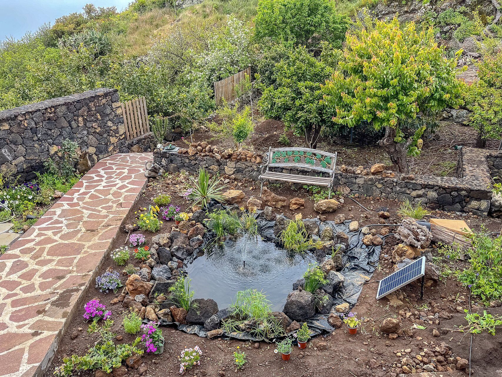 Ein Garten mit Teich, einem Steinweg und einer Bank.